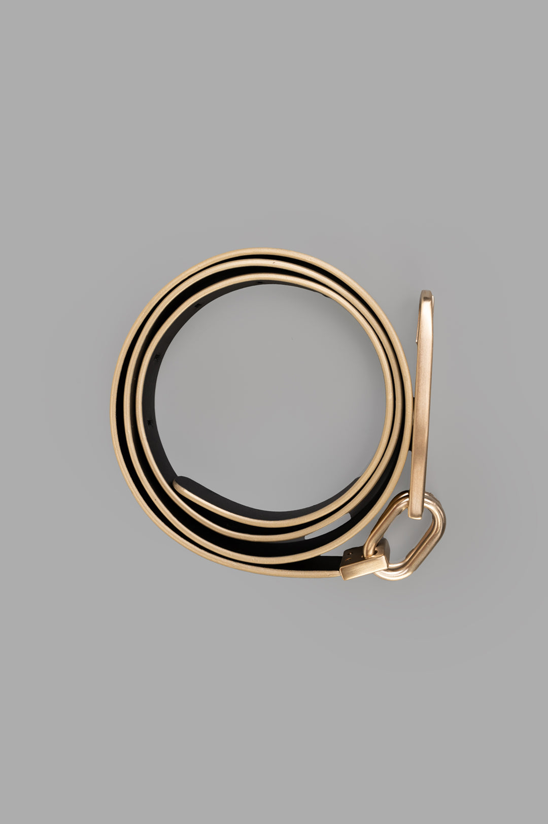 Snap Hook Belt