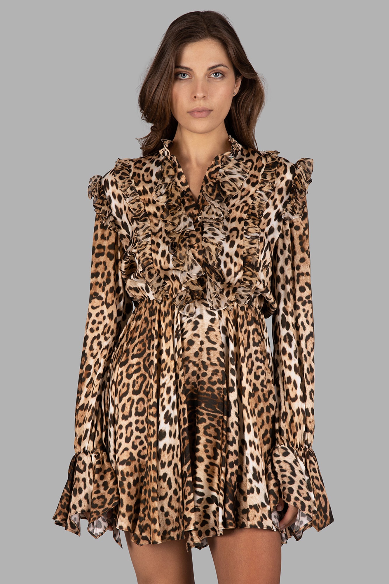 Ruffled-detail Leopard-print Dress