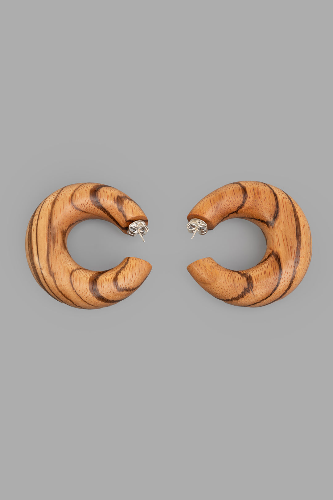 Orbis Pin Earrings